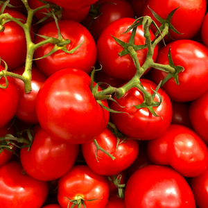 TOMATO LEAVES & VINES